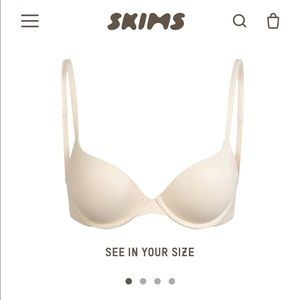 NWT SKIMS FITS EVERYBODY T-SHIRT PUSH UP BRA 36C